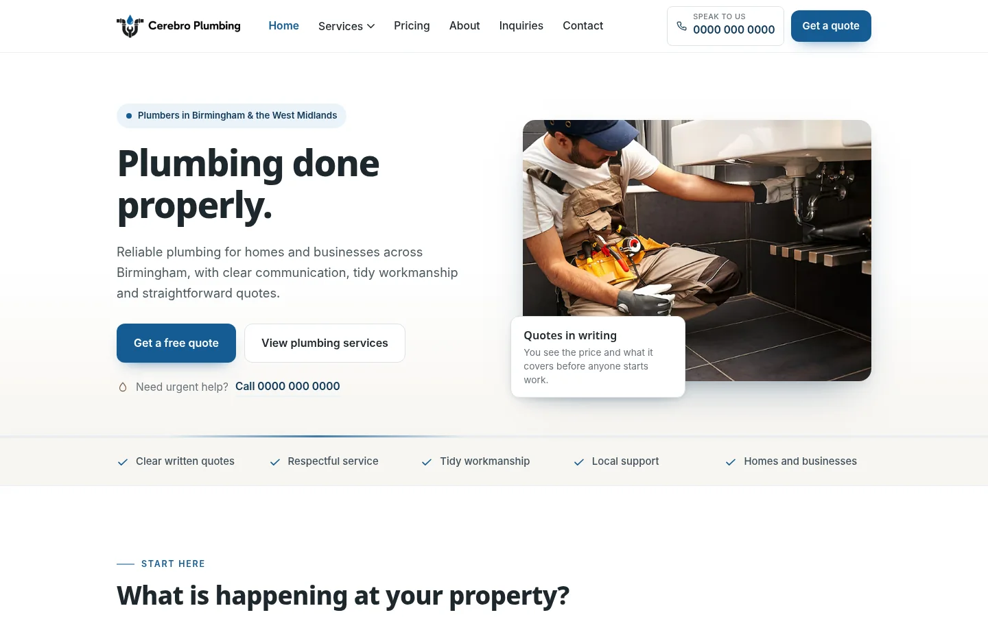 Cerebro Plumbing home-page preview