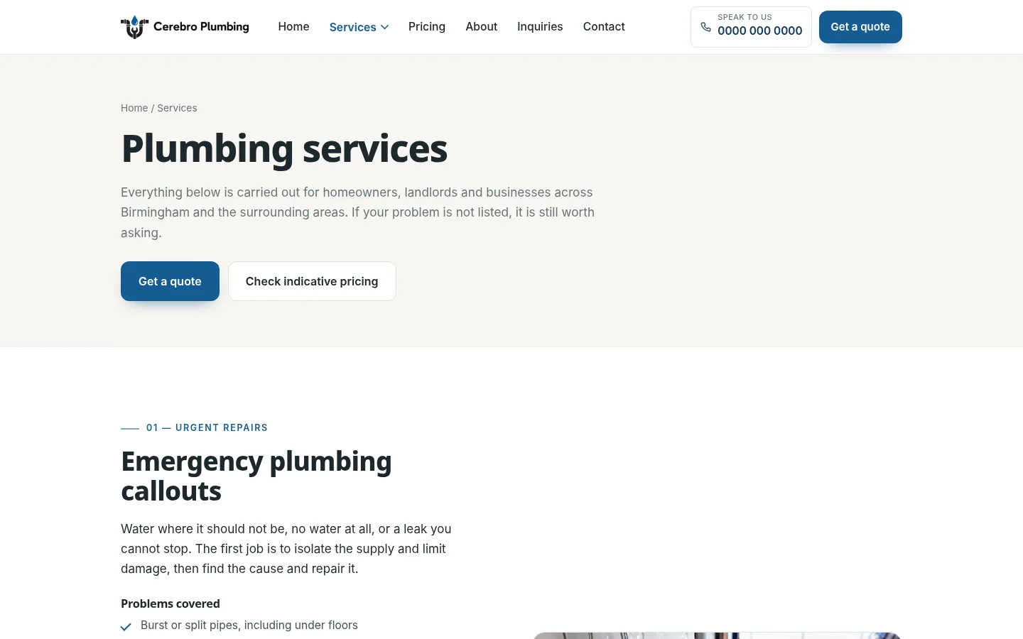 Cerebro Plumbing services preview