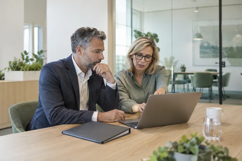 Two mature governance and technology professionals reviewing access permissions together at a quiet contemporary accounting practice. AI-generated workplace illustration.